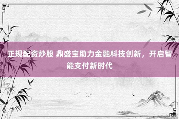 正规配资炒股 鼎盛宝助力金融科技创新，开启智能支付新时代