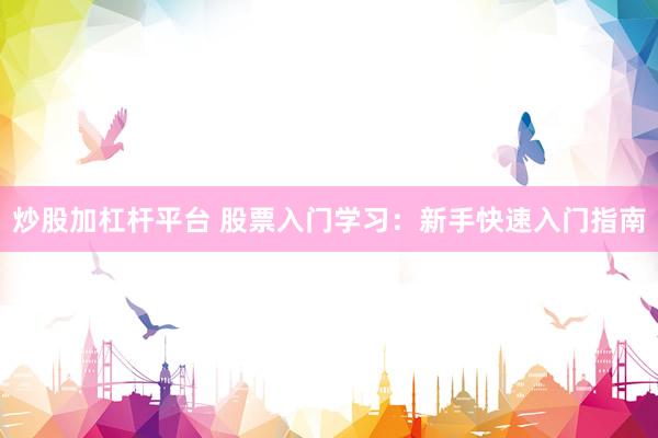炒股加杠杆平台 股票入门学习：新手快速入门指南