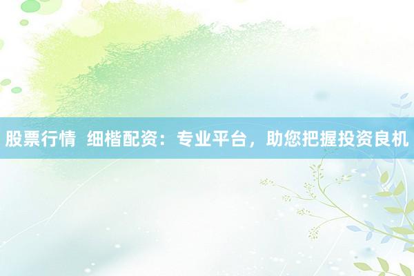 股票行情  细楷配资：专业平台，助您把握投资良机