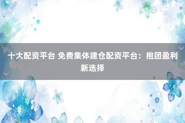 十大配资平台 免费集体建仓配资平台：抱团盈利新选择