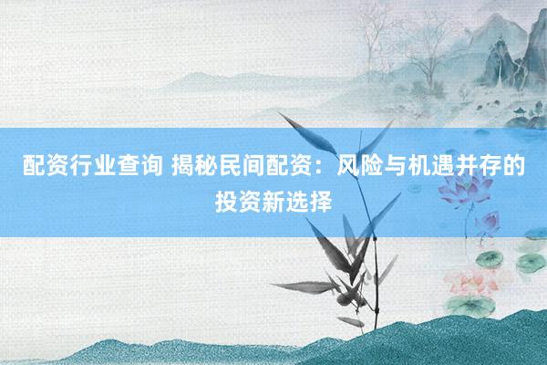 配资行业查询 揭秘民间配资：风险与机遇并存的投资新选择