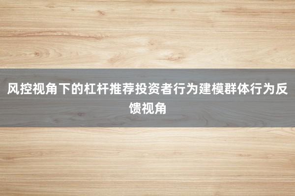 风控视角下的杠杆推荐投资者行为建模群体行为反馈视角