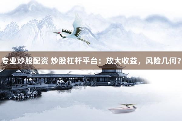 专业炒股配资 炒股杠杆平台：放大收益，风险几何？